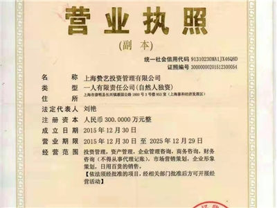 上海贽艺投资营业执照